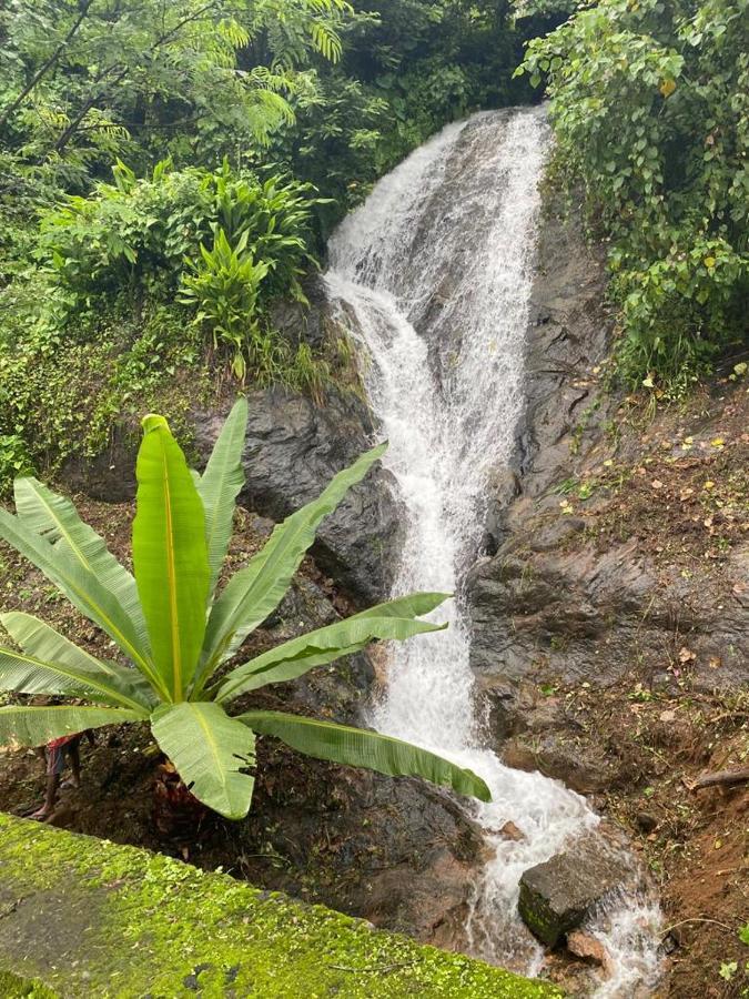 Earth Lounge Resort Vagamon Buitenkant foto